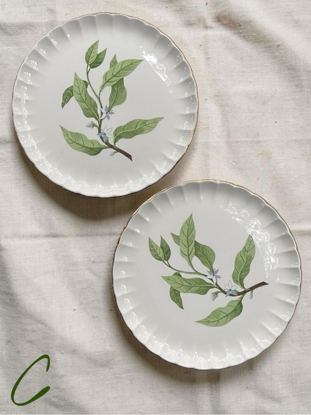 MidCentury W.S. George Bolero Green Valley Gray Flowers 10” Dinner Plates Set